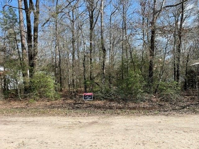 000 Somerset, Livingston, TX 77351