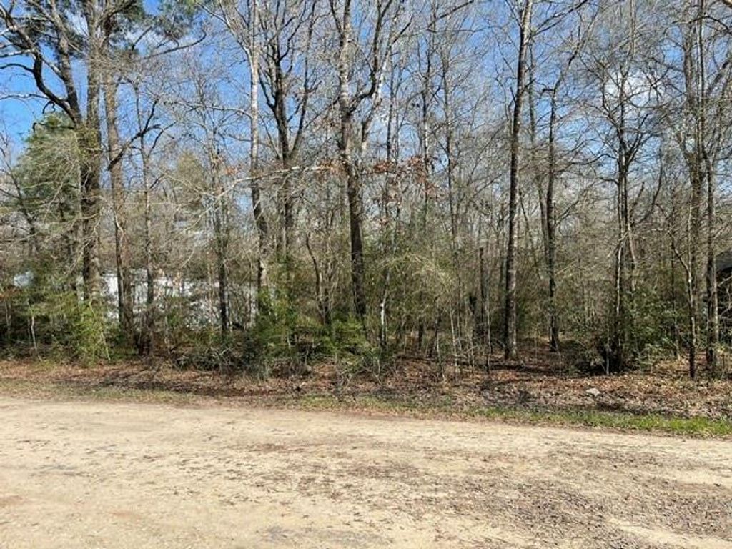 000 Somerset, Livingston, TX 77351