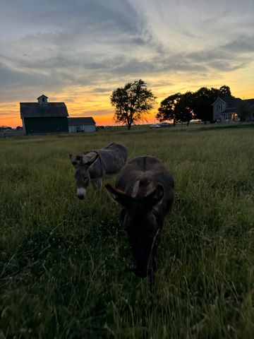 82 N 23rd Road, Peru, IL 61354