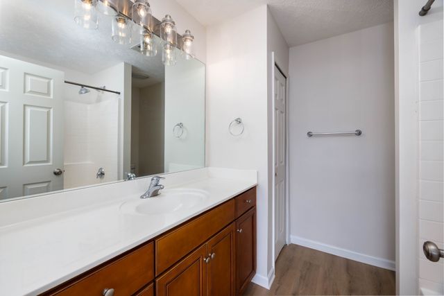 1011 Somerset Springs Dr, Spring Hill, TN 37174