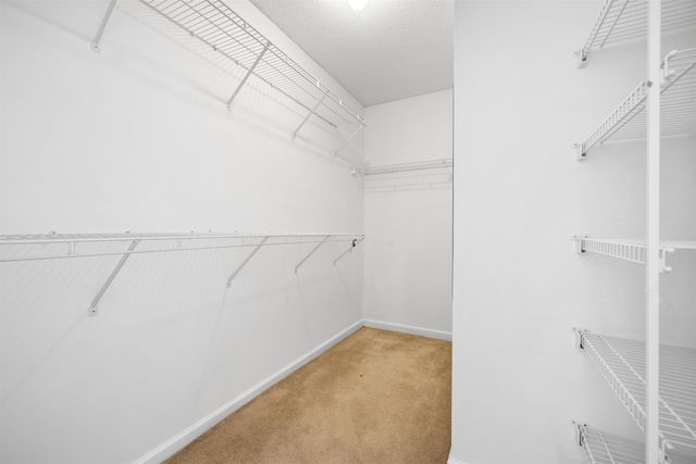 7361 APPLING RIDGE DR, Cordova, TN 38018