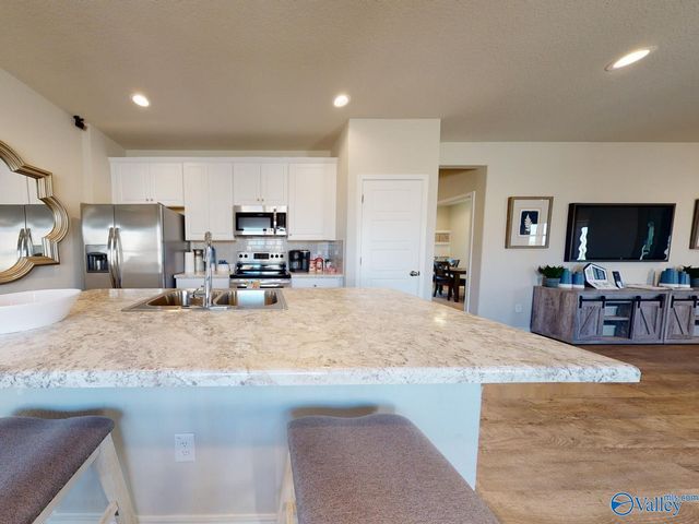 1033 John Avenue, Trinity, AL 35673