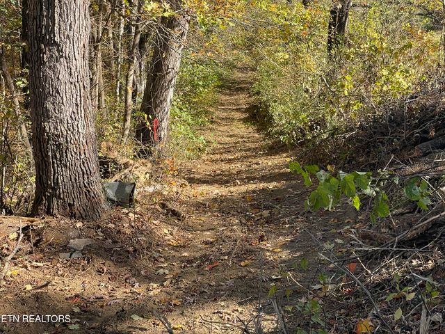 2280 Westwood Rd, Mohawk, TN 37810