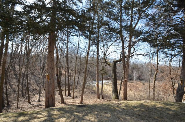 31066 Cedar Ridge Drive, Lindstrom, MN 55045