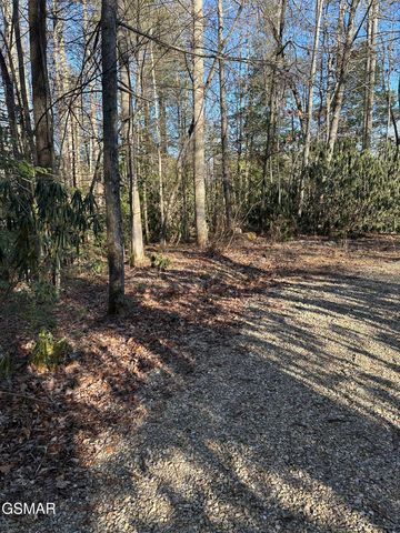 150 Cricket Hollow Way, Cosby, TN 37722