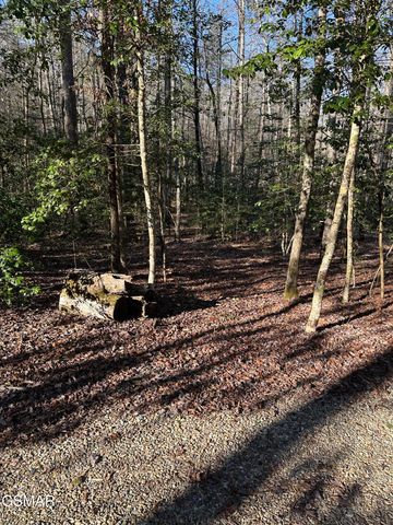 150 Cricket Hollow Way, Cosby, TN 37722