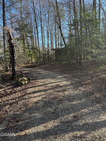 150 Cricket Hollow Way, Cosby, TN 37722