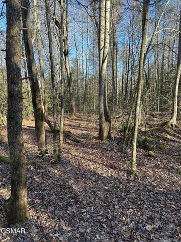 150 Cricket Hollow Way, Cosby, TN 37722