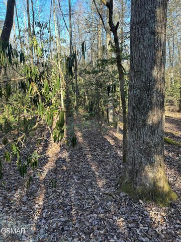 150 Cricket Hollow Way, Cosby, TN 37722