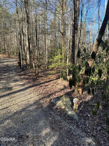 150 Cricket Hollow Way, Cosby, TN 37722