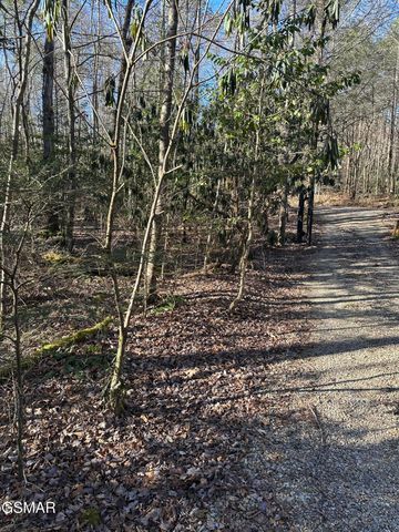 150 Cricket Hollow Way, Cosby, TN 37722