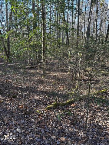 150 Cricket Hollow Way, Cosby, TN 37722