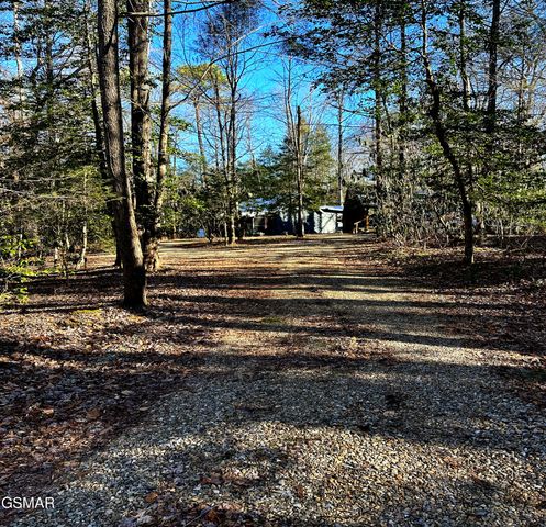 150 Cricket Hollow Way, Cosby, TN 37722