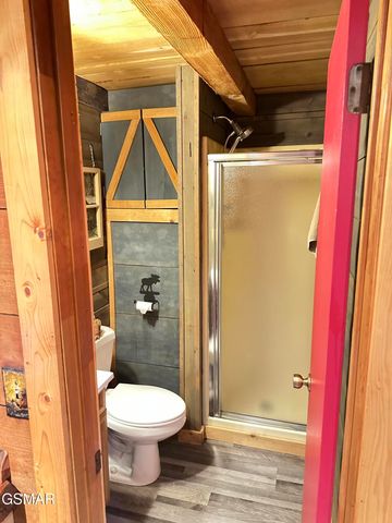 150 Cricket Hollow Way, Cosby, TN 37722