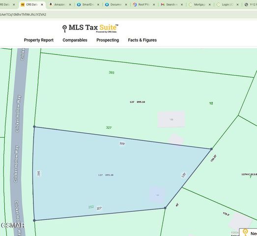 150 Cricket Hollow Way, Cosby, TN 37722