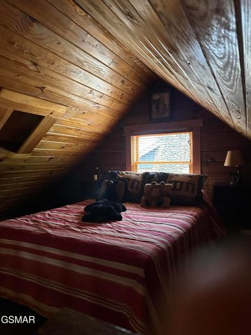 150 Cricket Hollow Way, Cosby, TN 37722