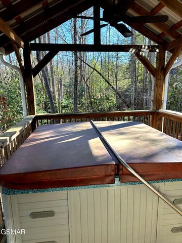 150 Cricket Hollow Way, Cosby, TN 37722