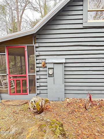 150 Cricket Hollow Way, Cosby, TN 37722