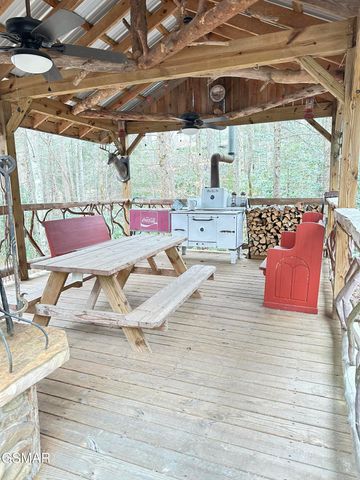 150 Cricket Hollow Way, Cosby, TN 37722