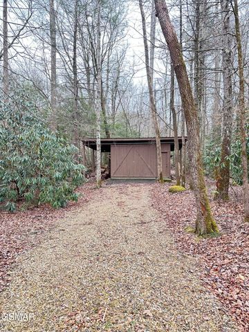 150 Cricket Hollow Way, Cosby, TN 37722