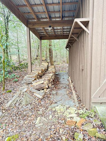 150 Cricket Hollow Way, Cosby, TN 37722