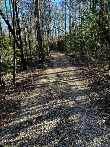 150 Cricket Hollow Way, Cosby, TN 37722