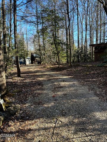 150 Cricket Hollow Way, Cosby, TN 37722