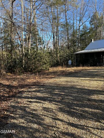 150 Cricket Hollow Way, Cosby, TN 37722