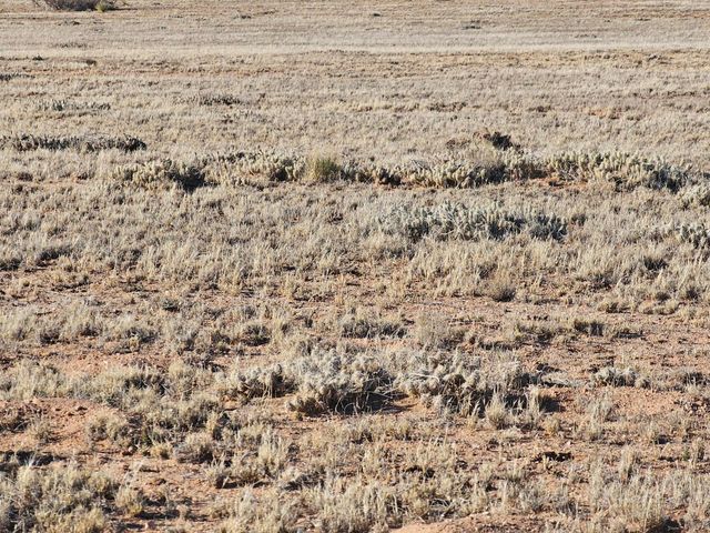 Vl Rio Grande Estates L12 Blk 314 7, Bernardo, NM 87006