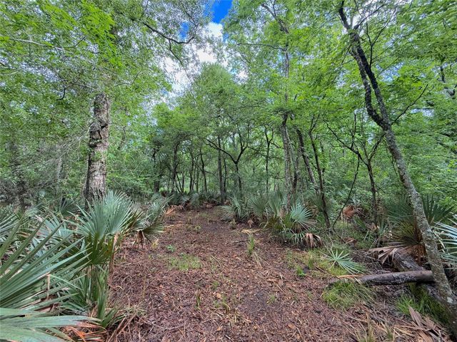 Tract 3 County Road 332, Sweeny, TX 77480