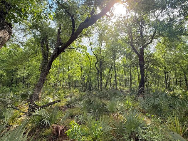 Tract 3 County Road 332, Sweeny, TX 77480