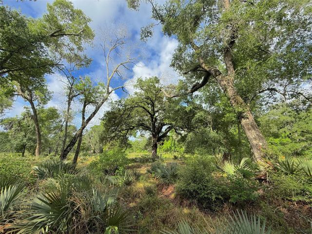 Tract 3 County Road 332, Sweeny, TX 77480