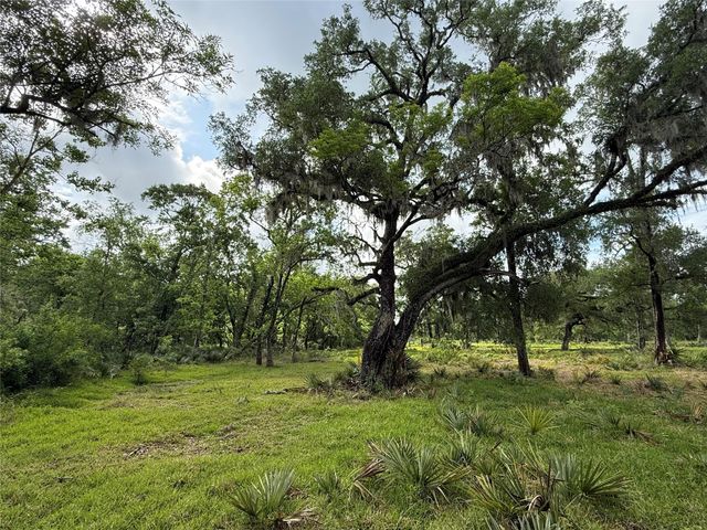 Tract 3 County Road 332, Sweeny, TX 77480
