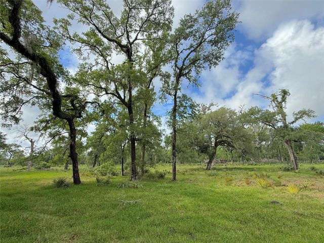 Tract 3 County Road 332, Sweeny, TX 77480