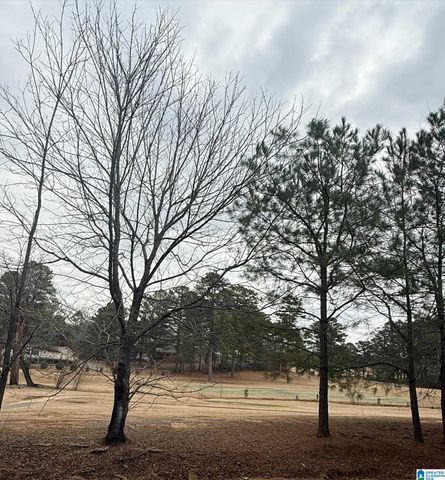 9040 MARSH MOUNTAIN ROAD, Pinson, AL 35126