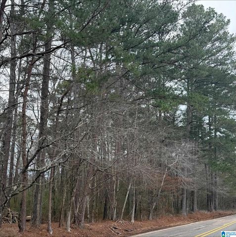 9040 MARSH MOUNTAIN ROAD, Pinson, AL 35126