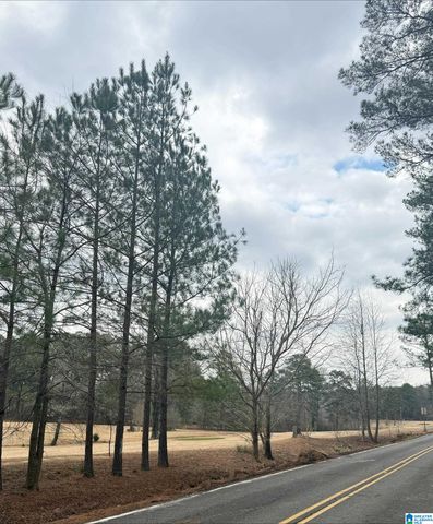 9040 MARSH MOUNTAIN ROAD, Pinson, AL 35126