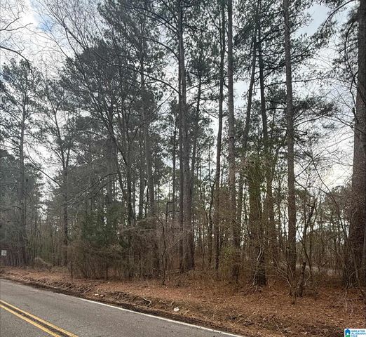 9040 MARSH MOUNTAIN ROAD, Pinson, AL 35126