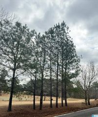 9040 MARSH MOUNTAIN ROAD, Pinson, AL 35126