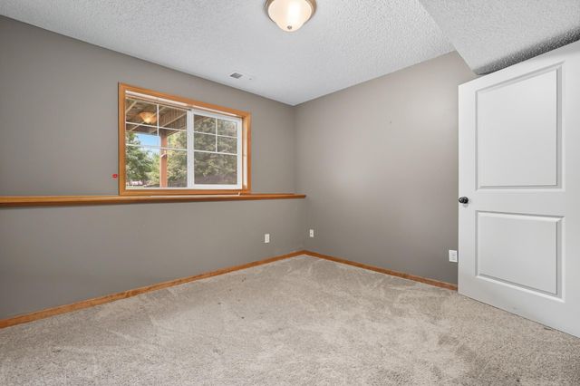 11333 Ivywood Trail, Woodbury, MN 55129