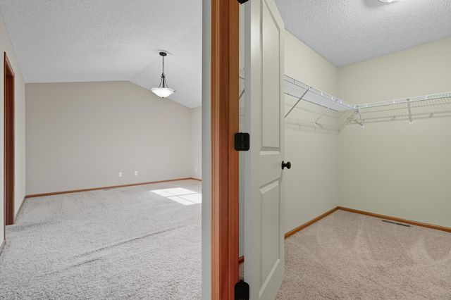 11333 Ivywood Trail, Woodbury, MN 55129