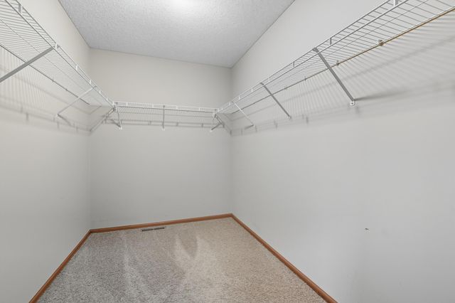 11333 Ivywood Trail, Woodbury, MN 55129