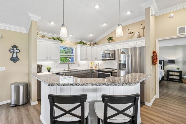 1148 CHAPARRAL DRIVE, The Villages, FL 32159