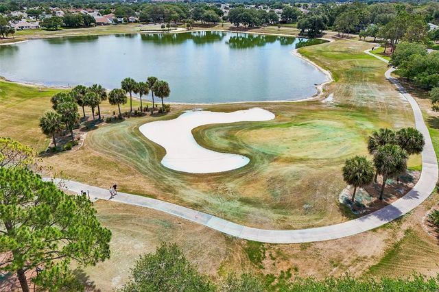 1148 CHAPARRAL DRIVE, The Villages, FL 32159