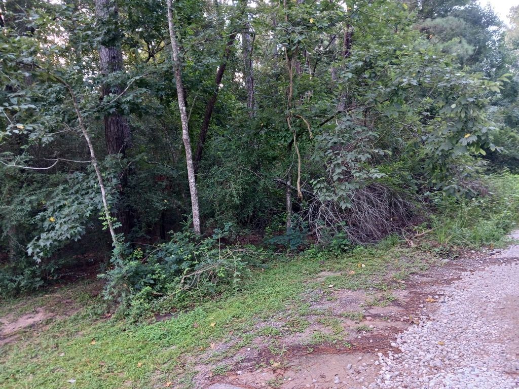 Lot 9 Walnut Grove Drive, Magnolia, TX 77355