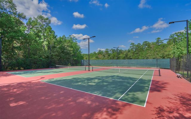 14 Clarion Ridge, The Woodlands, TX 77382