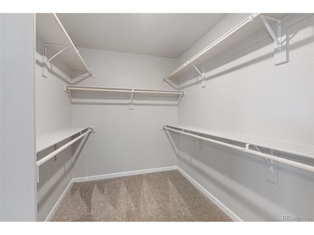 16953 Ballinger Cir, Mead, CO 80542