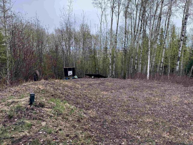 860 RIDGEPOINTE DRIVE, Fairbanks, AK 99709