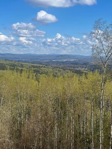 860 RIDGEPOINTE DRIVE, Fairbanks, AK 99709