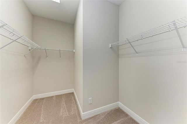 10198 SURREY ROSE DRIVE, San Antonio, FL 33576